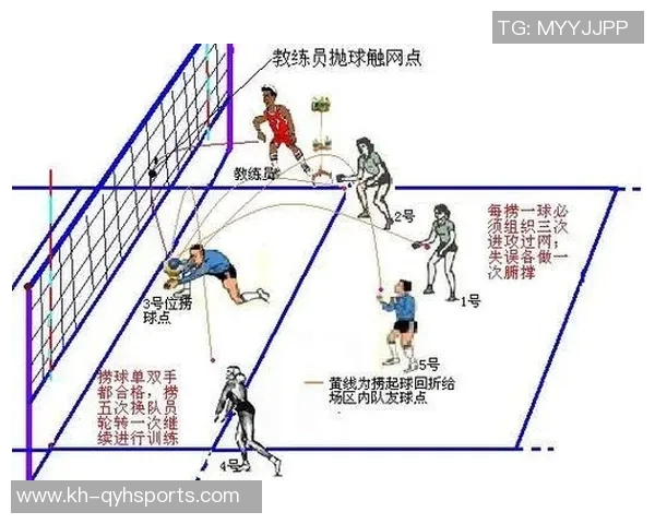 从零基础到排球高手的全面意识提升指南与实战技巧分享
